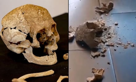 INAH investigará caída de cráneo de hace 700 años