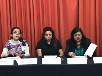 Persisten agresiones contra defensores ambientales: ONG