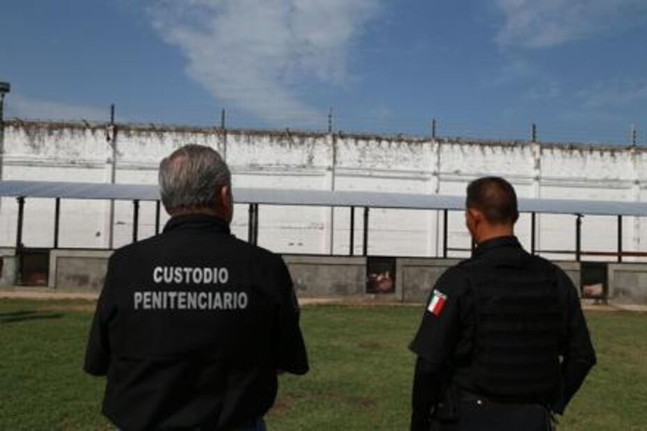 Reos de Tabasco buscan sustento con crianza de cerdos