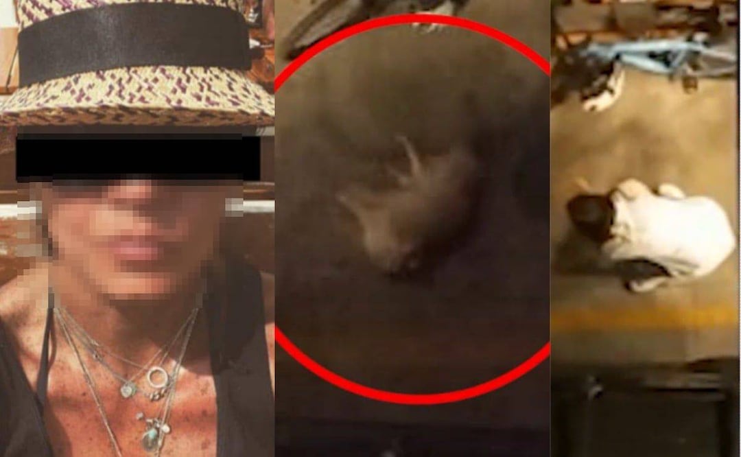 Mujer es captada arrojando a su mascota / Foto: Especial