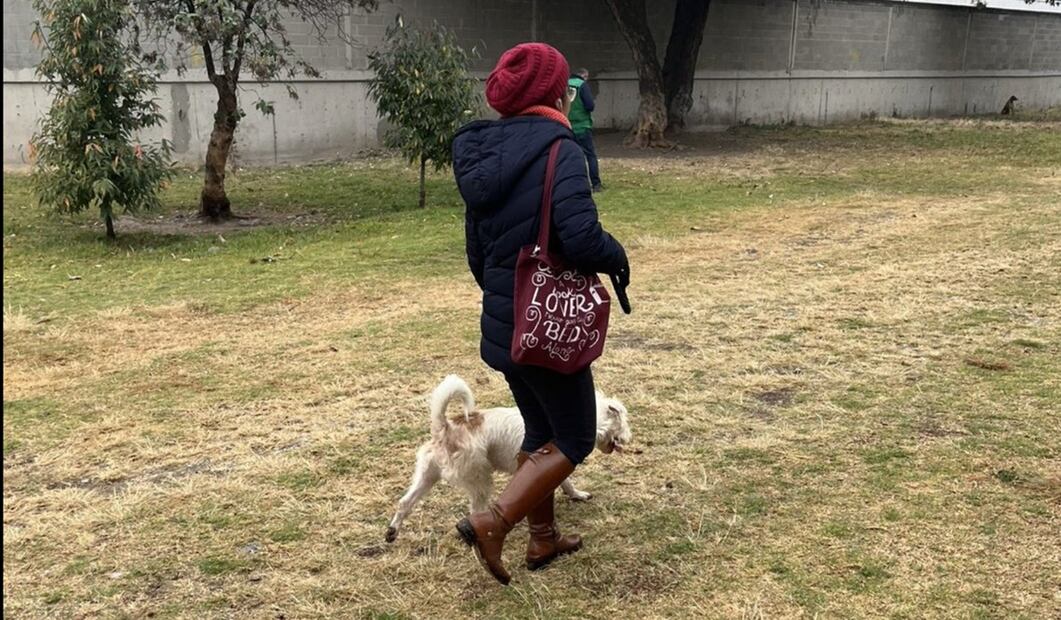 Sanciones por faltas cívicas. Foto: especial