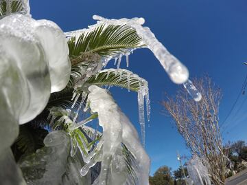 Video. Frío rompe récords en EU y cae nieve en Florida