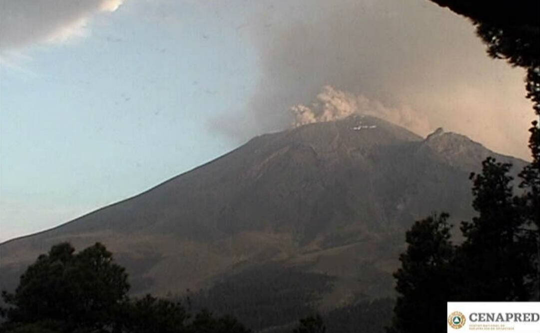 Foto: Tomada de la cuenta de Twitter @CNPC_MX