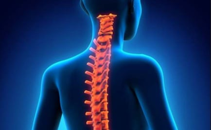 Malas posturas aumentan afectaciones a la columna y ausentismo laboral; 8 de cada 10 mexicanos lo padecen