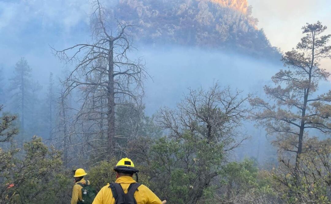 Incendio forestal en sierra de Agua Prieta, Sonora (20/06/2025). Foto: Protección Civil Sonora