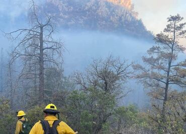 Incendio forestal devasta 2 mil hectáreas en sierra de Agua Prieta, Sonora; lleva activo 5 días