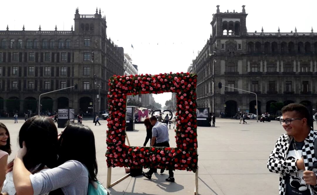 A frame of carnations faces the 20 de Noviembre Avenue