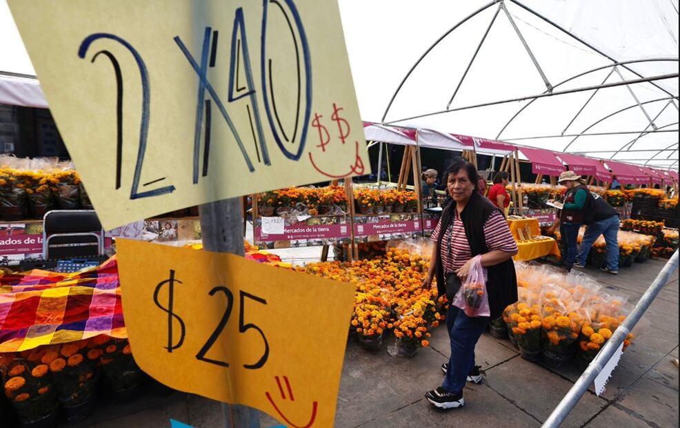 Productores de flor de cempasúchil venden su producto en el Zócalo de la Ciudad de México con precios que van de los 20 a 45 pesos, dependiendo del tamaño y la variedad de la flor, el 27 de octubre d e2025. Foto: Berenice Fregoso/EL UNIVERSAL