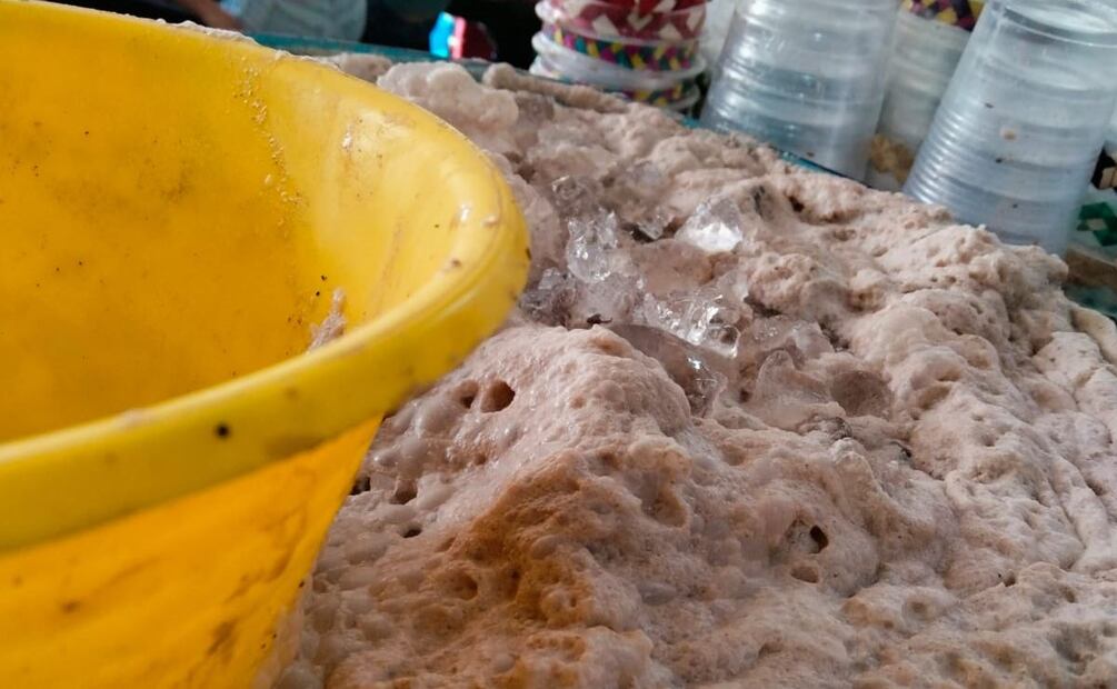 Enpanarte Fest 2025. Foto: cortesía