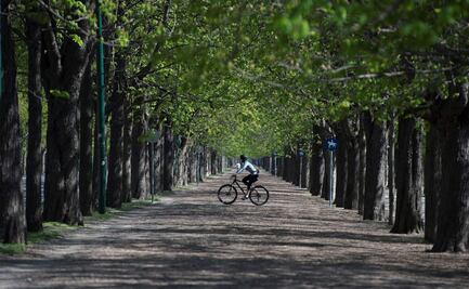 Viena recompensa con cultura a los que no usen su auto