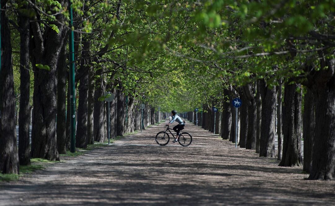 Foto: Joe KLAMAR / AFP, archivo