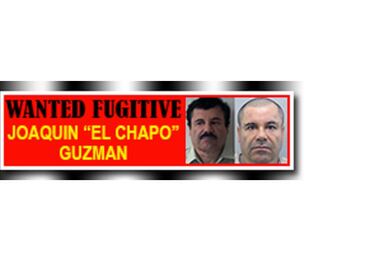 U.S. to redouble efforts to monitor El Chapo's financial operations