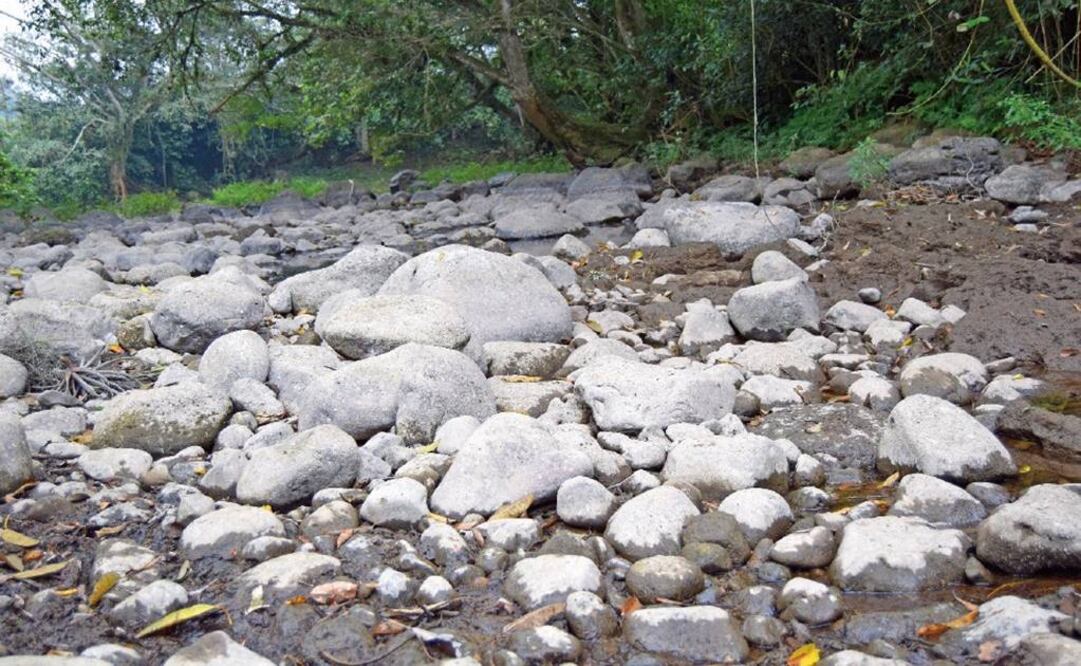 Foto: Archivo EL UNIVERSAL