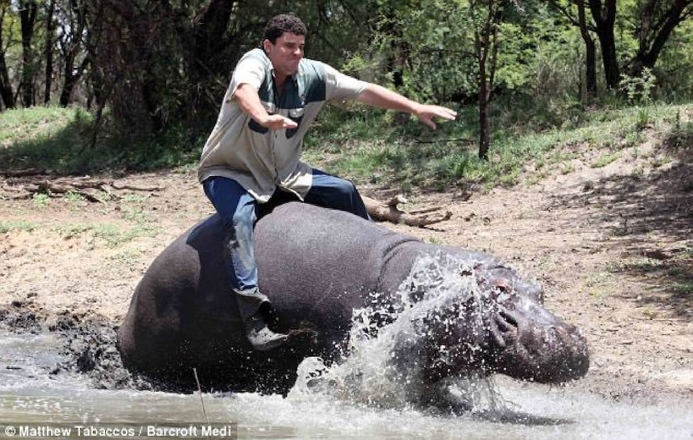 La gente le advertía a Marius que el animal era salvaje, pero no los escuchó. FOTO: Especial