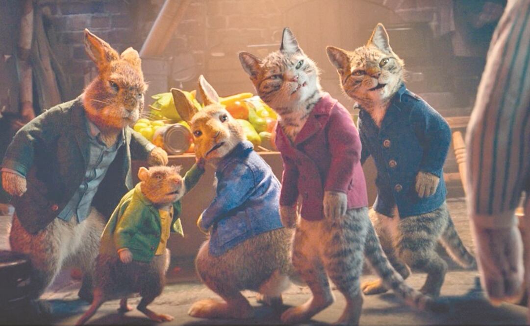 Peter ahora es un conejo adolescente que no para de meterse en divertidos problemas. Fotos: Sony Pictures