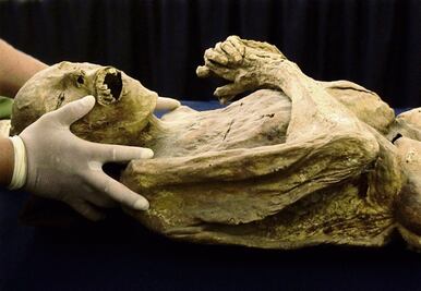 Nuevo Museo de Momias de Guanajuato no cumple con normativa de sitios de patrimonio y es “una falta de respeto” para los restos: ICOMOS