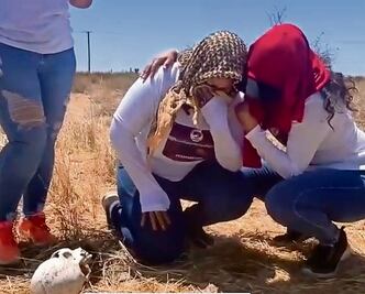 Proliferan los colectivos de buscadoras: hay 234 en el país