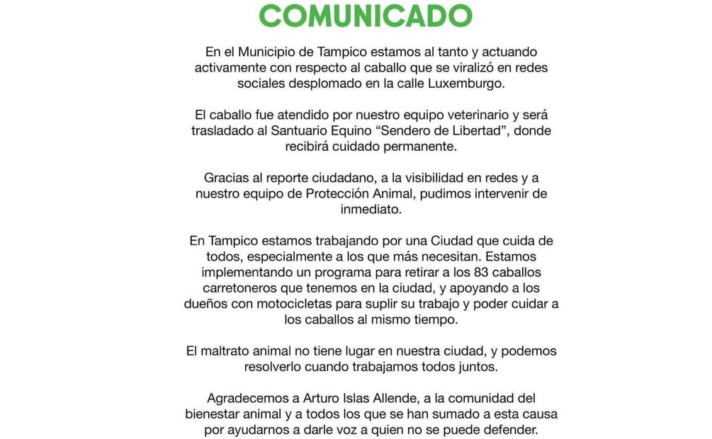 Ayuntamiento de Tampico emite un comunicado condenando maltrato animal (17/05/2025). Foto: Especial
