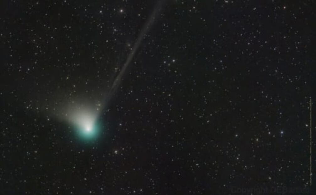 ¿No viste el cometa verde? Checa los mejores videos y fotos