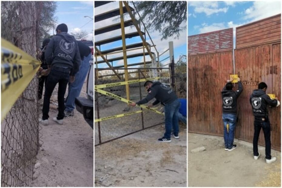 Clausuran tres placas de toros en Celaya para evitar contagios de Covid