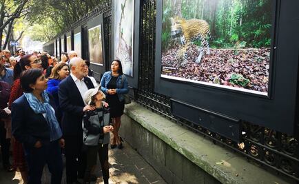 "Visiones de nuestra naturaleza" deleita desde Chapultepec
