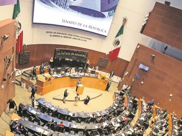 Perfila Senado avalar RFC a partir de 18 años