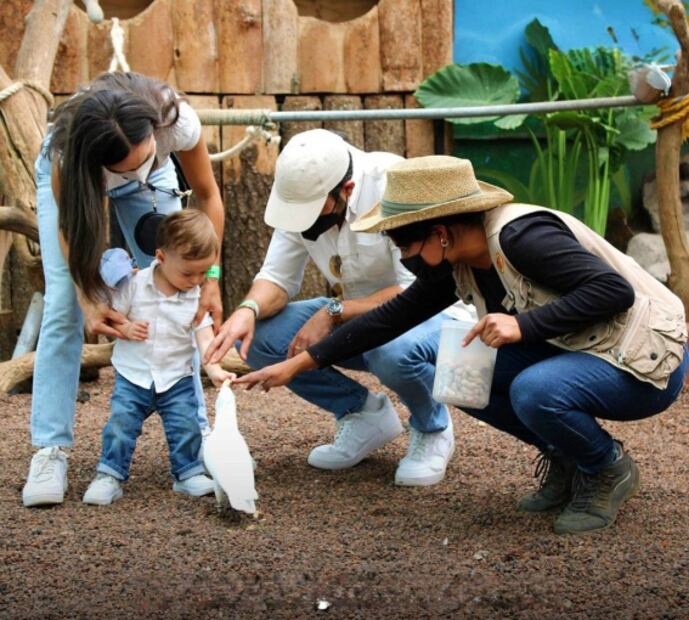 5 parques temáticos más divertidos para niños en CDMX y Edomex