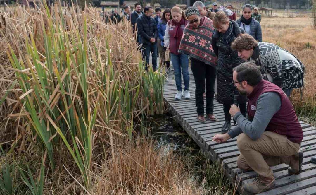 Delfina Gómez Álvarez dio a conocer el Plan de Recuperación de Humedales, que tiene como finalidad recuperar agua mediante la restauración, regeneración y renaturalización de los humedales. Foto: Especial