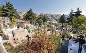 Hoy entran en vigor los panteones ecológicos