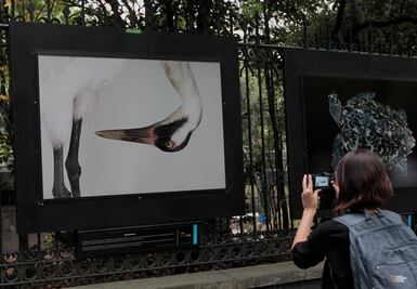 NatGeo and CONABIO raise awareness through photographs