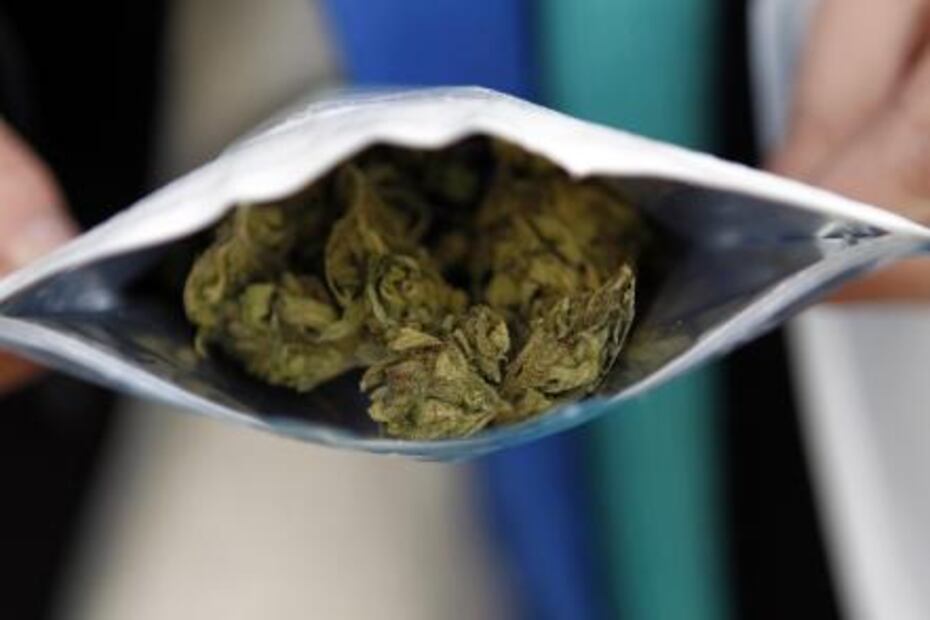 Las claves de la venta legal de marihuana recreativa en Uruguay