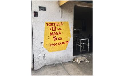 PAN CDMX acusa a Morena por aumento a 20 pesos en el precio de la tortilla 