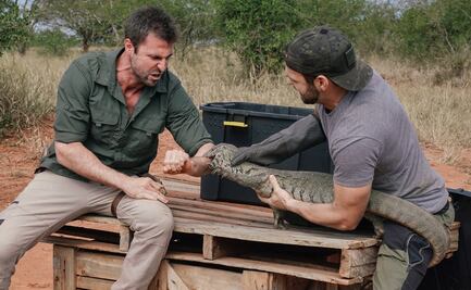 Entre mordidas, "Reyes del Dolor" buscan al animal más peligroso