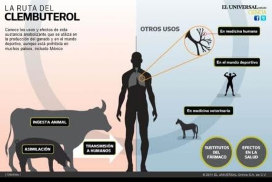 ¿Qué es el clembuterol y por qué está prohibido en el deporte? 