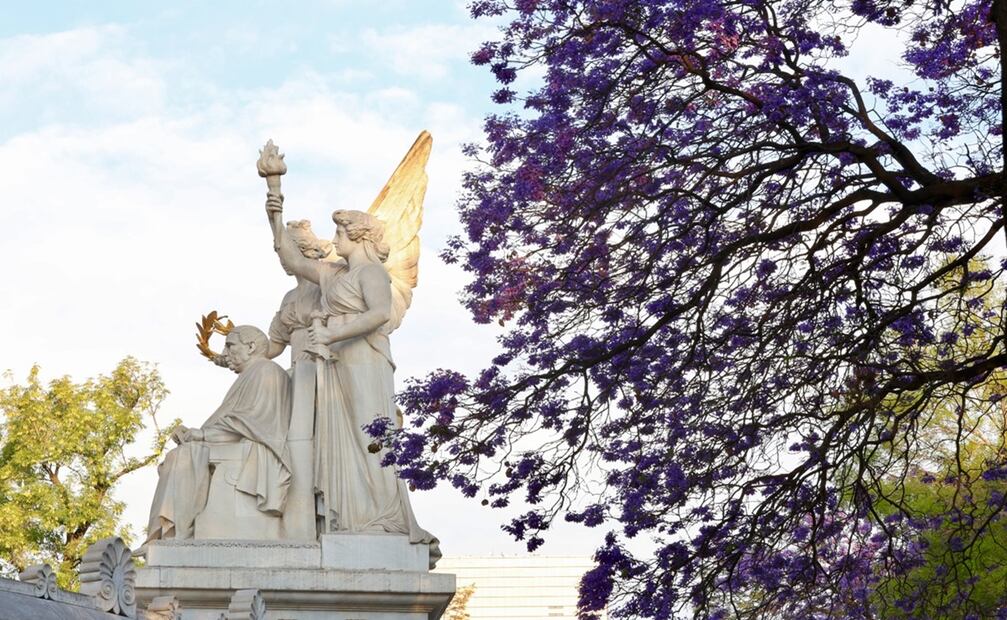 La jacarandas tiñen a la ciudad con su color y su belleza, resaltando, monumentos, parques jardines y esculturas. Foto: Valente Rosas/EL UNIVERSAL.