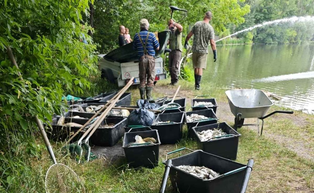 PRAGA, 01/07/2025.- Peces muertos a causa de la combinación de las altas temperaturas con la contaminación por sedimentos, que han sido recogidos en el lago Modlanská, al norte de la República Checa. La ola de calor en la República Checa ha causado desde el fin de semana la muerte de casi toda la población piscícola del lago Modlanska, al norte del país, donde ya se han recogido más de once toneladas de pescado muerto. (01/07/25) Foto: EFE