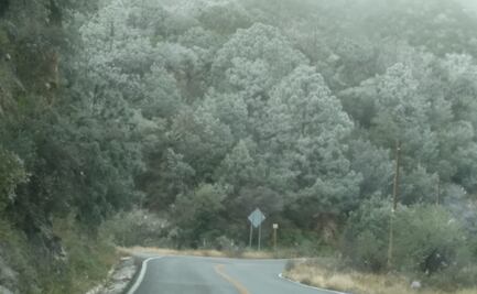 ¡Toma precauciones! Frente frío 19 provoca onda gélida en Nuevo León; reportan hasta -8 grados