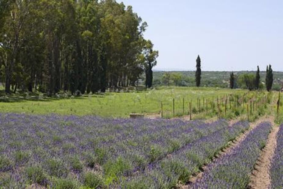Un buen lugar para beber vino