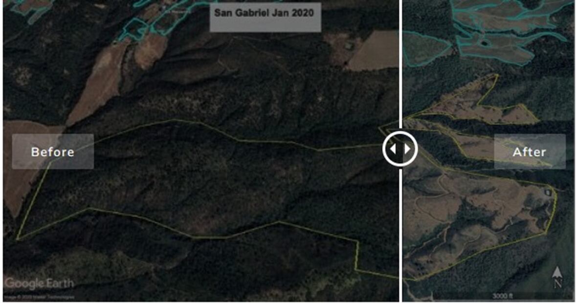 Un  informe de Climate Rights International incluyó dos imágenes de Google Earth que muestran la deforestación que ocurrió entre 2020 y 2022 al establecerse huertas de aguacate en Jalisco. FOTO:  Maxar Technologies y CNES/Airbus