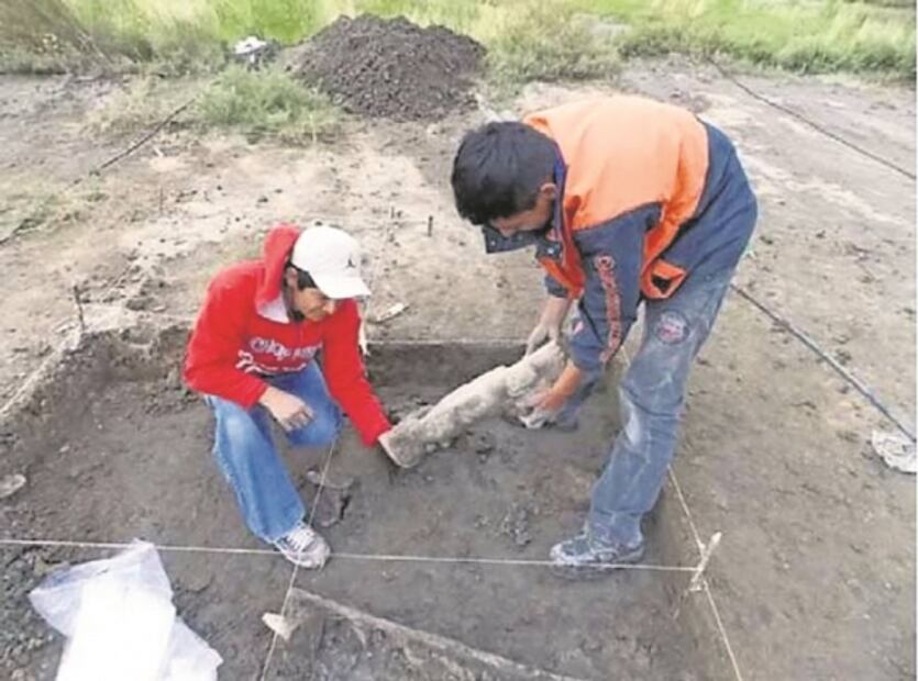 “Decretazo presidencial, atentado contra el patrimonio del país”