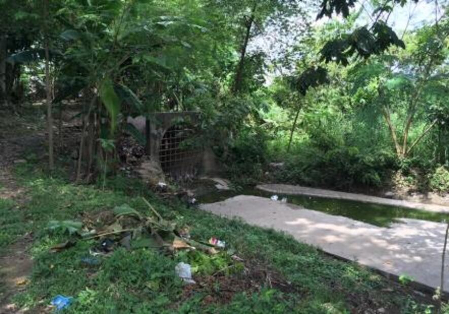 El Papaloapan, retiran veda a un cauce que agoniza 