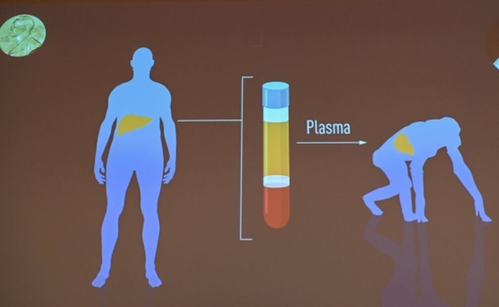 La historia detrás del hallazgo de la hepatitis C