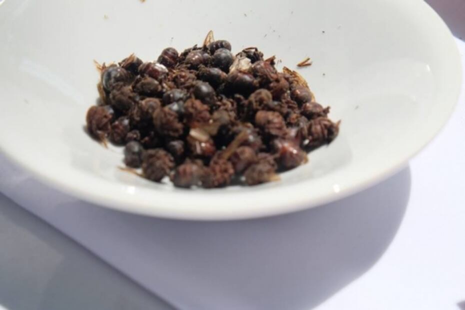 Prepara salsas y antojitos con insectos 