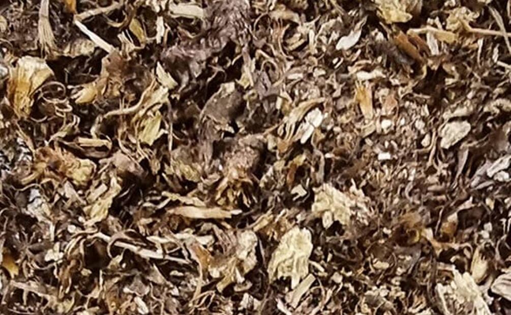 Los beneficios de la yareta. Foto: Australis Herbolaria