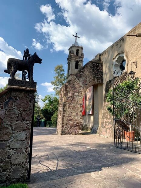 Lo que debes saber del Museo Dolores Olmedo y sus xoloitzcuintles