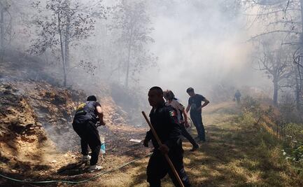 Incendios forestales mantienen en alerta a vecinos y autoridades en Hidalgo