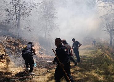 Proponen en San Lázaro hasta 25 años de prisión a quien provoque intencionalmente un incendio forestal