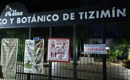 Clausuran Zoológico "La Reina" de Tizimín, Yucatán tras la muerte de jaguar