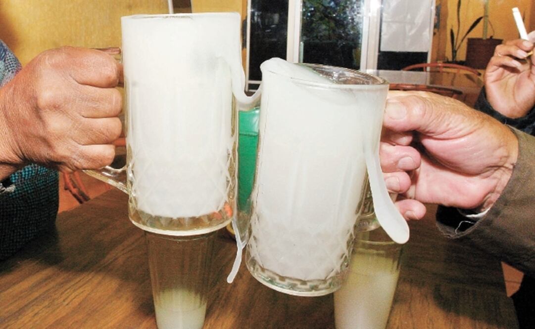 El pulque bajo la lupa de la ciencia