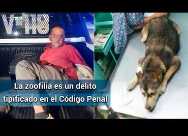Caso de perrita violada en Nezahualcóyotl no es el único impune